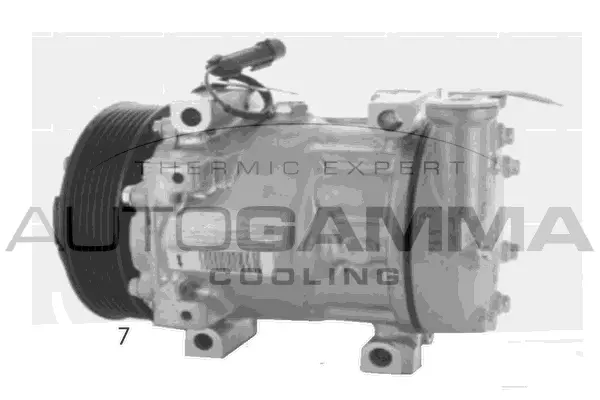 Compressor, air conditioning (118567)