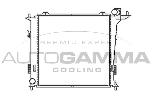 Radiator, engine cooling (105408)