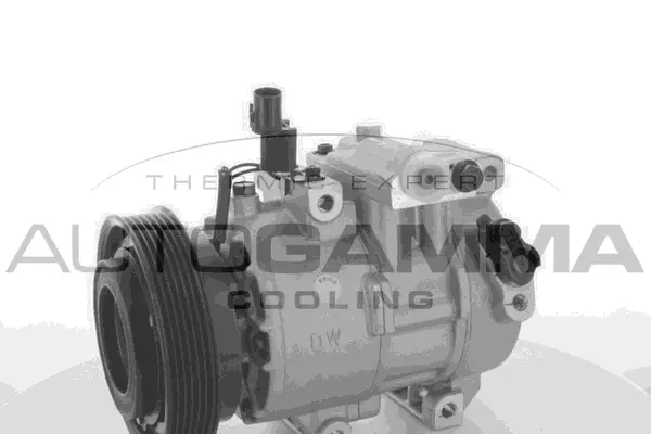 Compressor, air conditioning (118576)