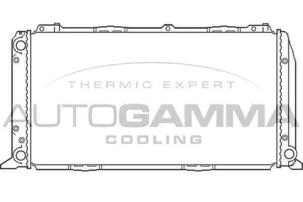 Radiator, engine cooling (100041)