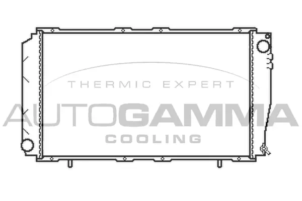 Radiator, engine cooling (102310)