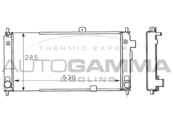 Radiator, engine cooling (100661)