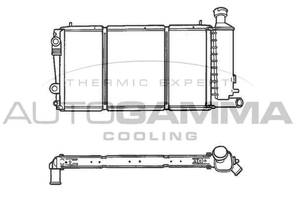 Radiator, engine cooling (100169)