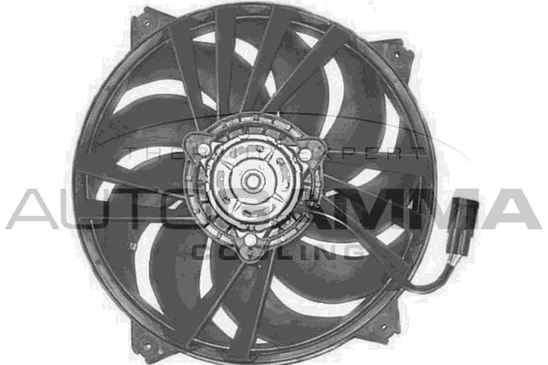 Fan, engine cooling (GA200311)