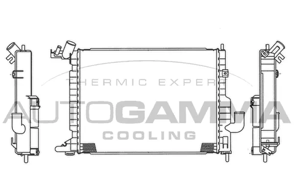 Radiator, engine cooling (103600)