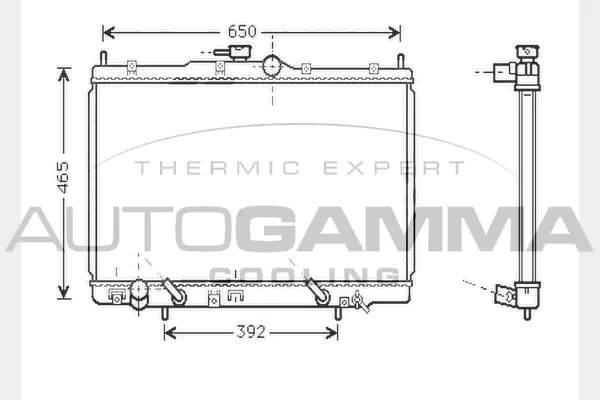 Radiator, engine cooling (104511)