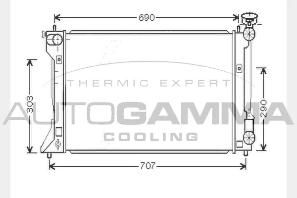Radiator, engine cooling (104569)