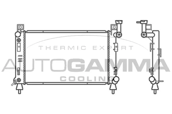 Radiator, engine cooling (100141)