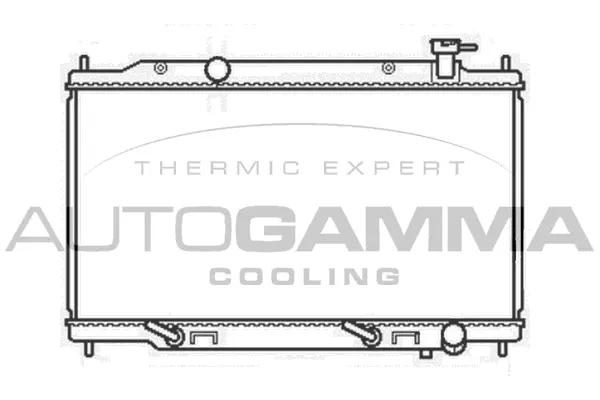 Radiator, engine cooling (107017)