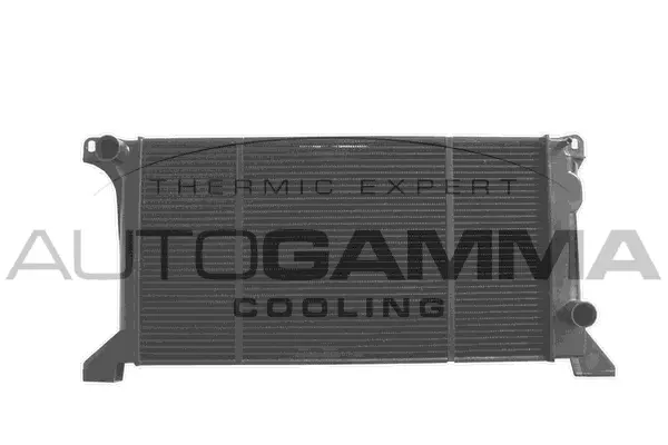 Radiator, engine cooling (102081)