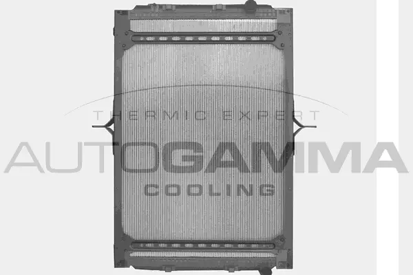 Radiator, engine cooling (404594)