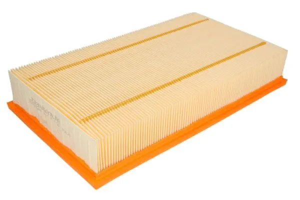 Air Filter (B2M018PR)