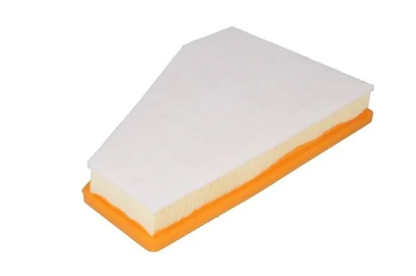 Air Filter (B2Y025PR)