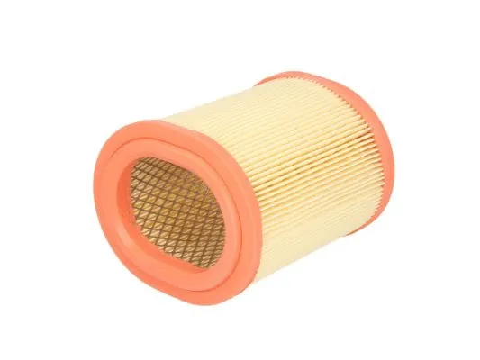Air Filter (B2P028PR)