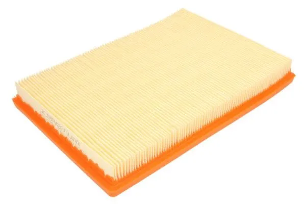 Air Filter (B2W076PR)
