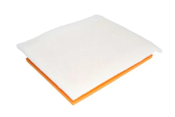 Air Filter (B2X065PR)
