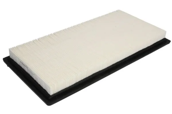 Air Filter (B2Y023PR)