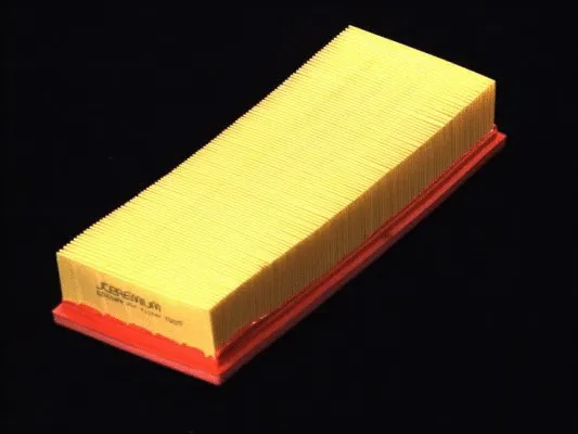 Air Filter (B2W018PR)