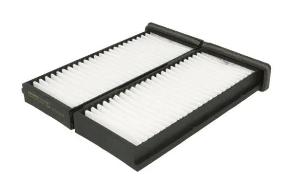Filter, cabin air (B45002PR)