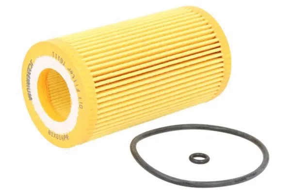 Oil Filter (B1X016PR)