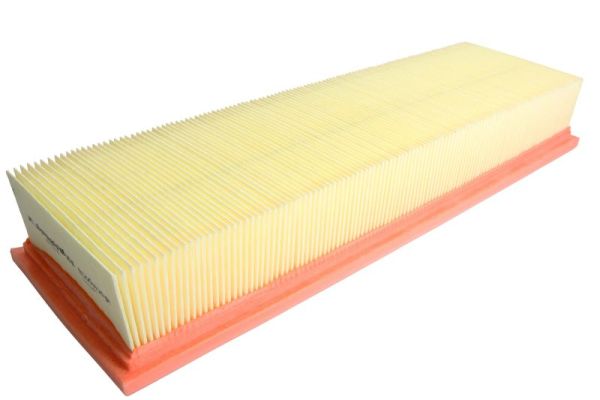 Air Filter (B2X012PR)