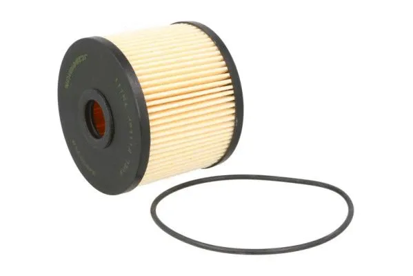 Fuel Filter (B3C008PR)
