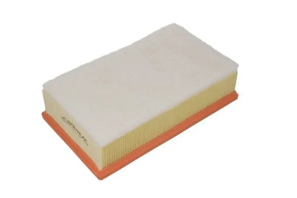 Air Filter (B2C048PR)