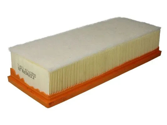 Air Filter (B2W061PR)