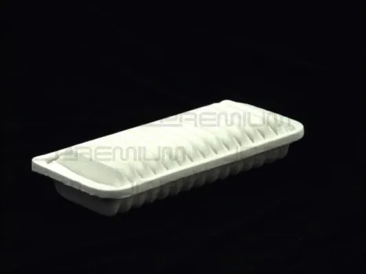 Air Filter (B22093PR)