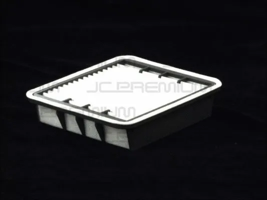 Air Filter (B22081PR)