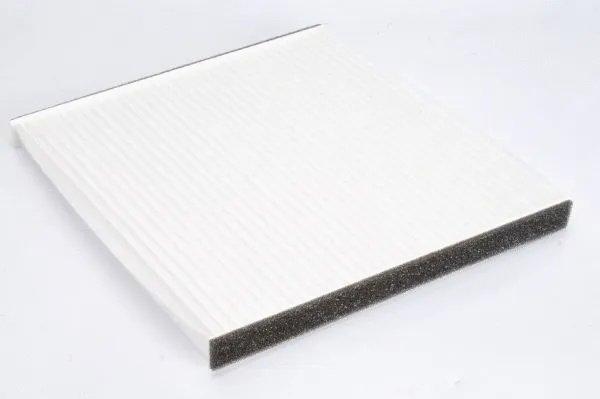Filter, cabin air (B42007PR)