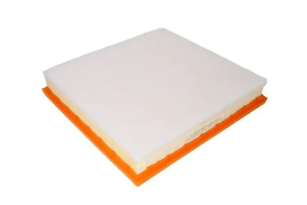 Air Filter (B2X069PR)
