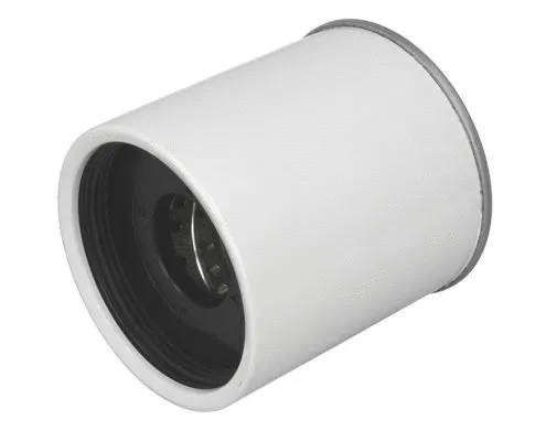 Fuel Filter (B3Y001PR)