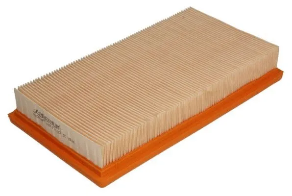 Air Filter (B20314PR)
