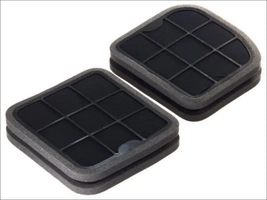 Filter, cabin air (B4M023CPR-2X)
