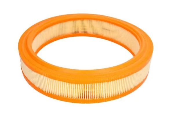 Air Filter (B2W019PR)