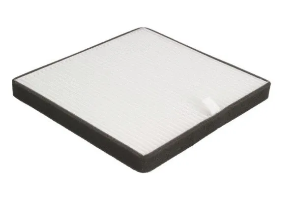 Filter, cabin air (B4V005PR)