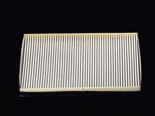 Filter, cabin air (B48004PR)