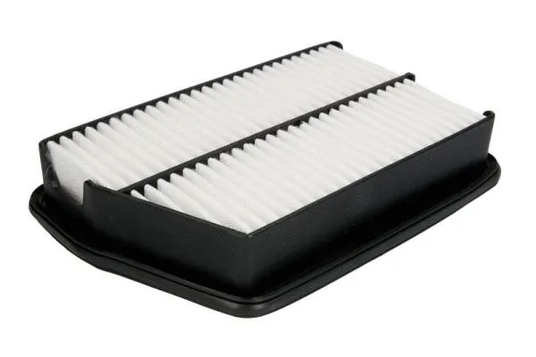 Air Filter (B20013PR)