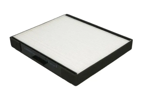 Filter, cabin air (B40501PR)