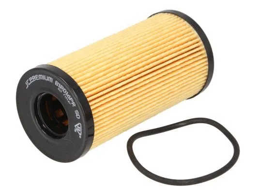 Oil Filter (B1R016PR)
