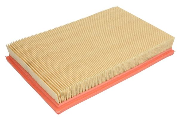 Air Filter (B2X017PR)