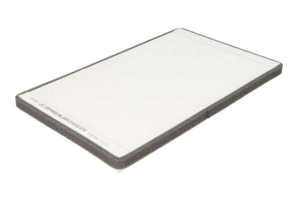 Filter, cabin air (B4R003PR)