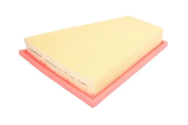 Air Filter (B2B050PR)