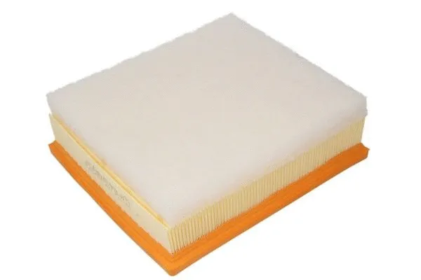 Air Filter (B2B042PR)