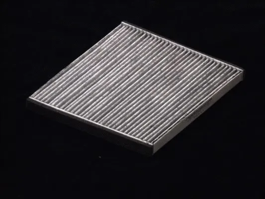 Filter, cabin air (B42002CPR)
