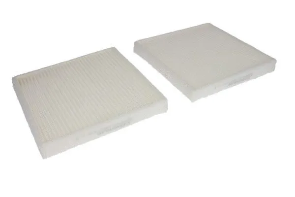 Filter, cabin air (B4B029PR-2X)