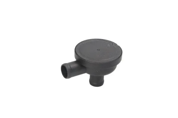 Valve, crankcase ventilation (BSW004PR)