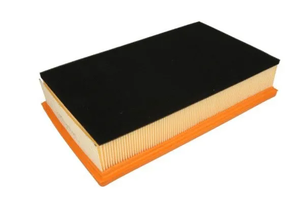 Air Filter (B2W073PR)