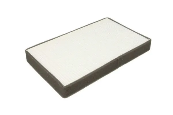 Filter, cabin air (B43013PR)